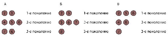 Компрессия (в случаях Б и В)